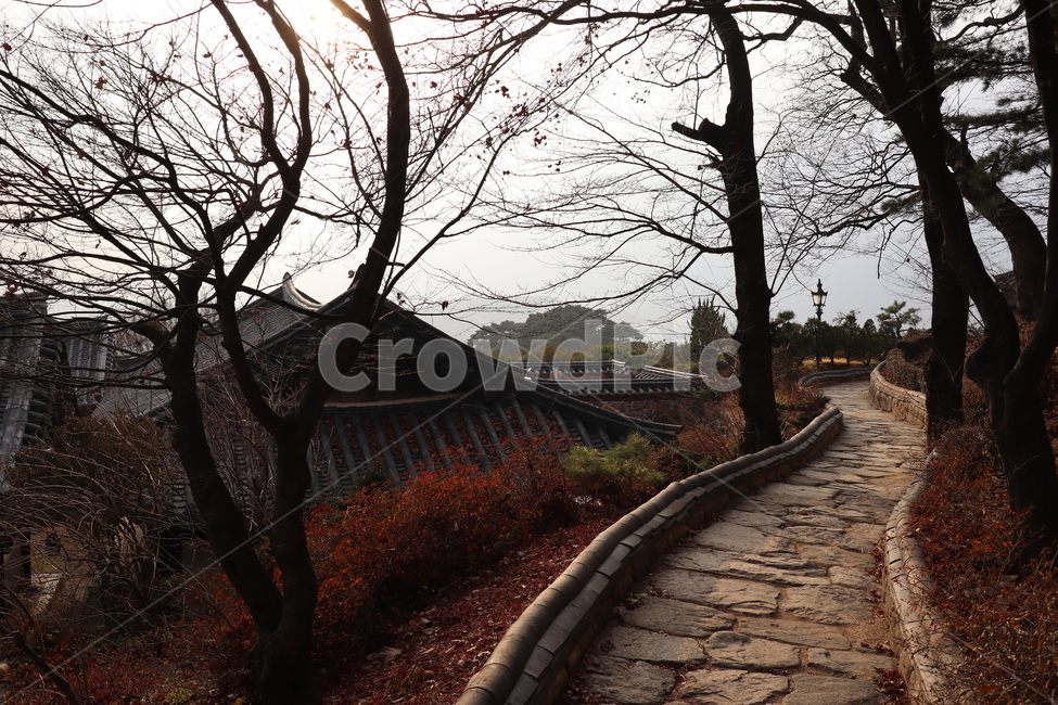 영주,부석사,전통가옥,가을,석양,가을,계절,fall,autumn,season,한국전통,한국문화,korean traditional,korean culture,건축물,건물외관,exterior,building,structure,architecture,construction,path,통로,walkway,보도,sidewalk,pavement,포장