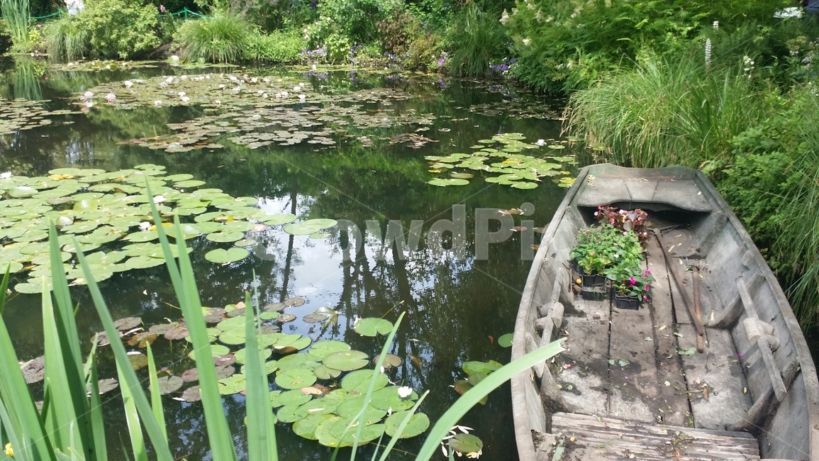 프랑스,지베르니,모네,정원,연못,수련,연꽃,pond,garden,france,giverny,monet,water,lily,lotus,나룻배,wood,boat,풀,grass,green,자연,nature