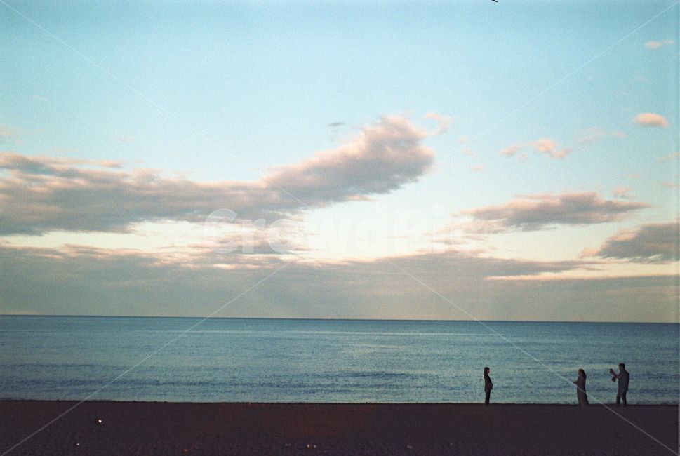 필름카메라,풍경,하늘,바다,자연