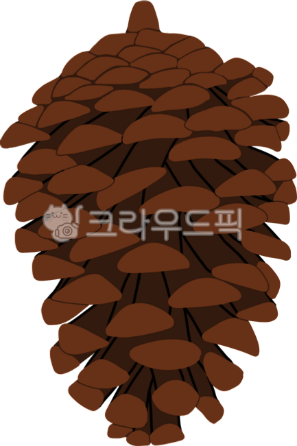 Pine cone,winter,pine tree,Christmas tree,decoration,wreath decoration,Christmas