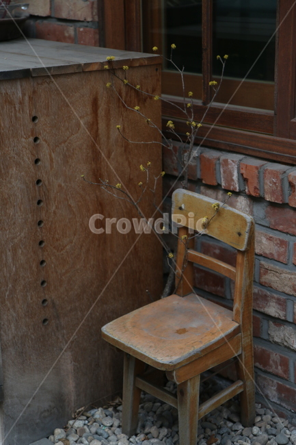 chair,의자,꽃,고독,쓸쓸함,메마른꽃,창작촌,서울,문래동