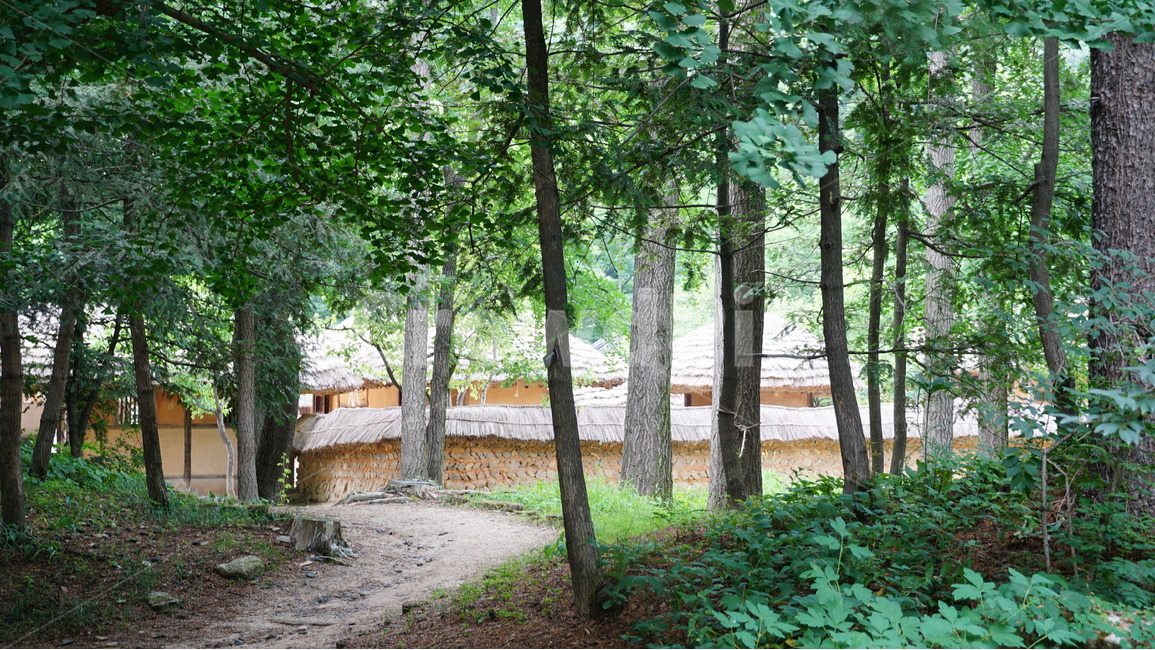 한국,민속촌,집,테마,풍경,한국전통,한국문화,korean traditional,korean culture,건축물,건물외관,exterior,building,structure,architecture,construction