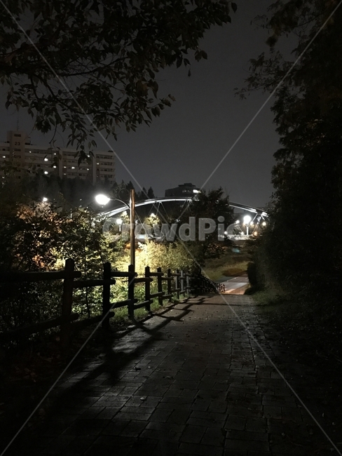 야경,풍경,밤,저녁,산책로,산책,길,여유,Road,야경,밤,풍경,nightscape,night,landscape,도시,city,한국도시풍경,한국도시경관,korea cityscape,walkway,보도,path,통로,asphalt,아스팔트