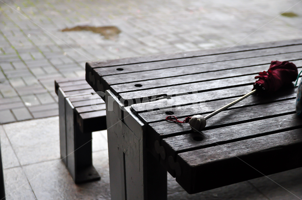 벤치,bench,가구,우산,furniture,사물,물건,오브젝트,thing,object,matter