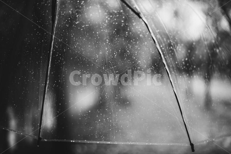 비,우산,흑백,공원,빗방울,비,비오는날,rain,rainy,흑백,모노톤,monochrome,black and white