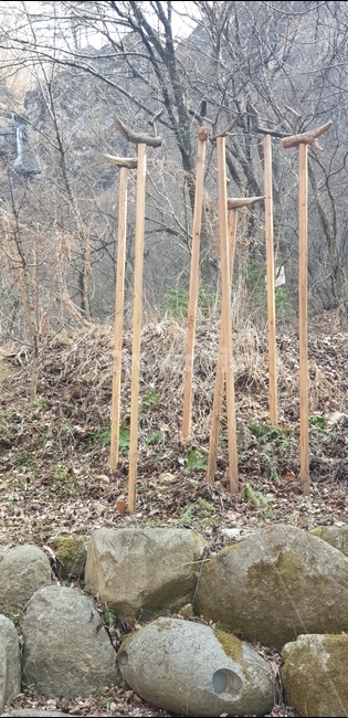 솟대,오리,민속,나무,풍경