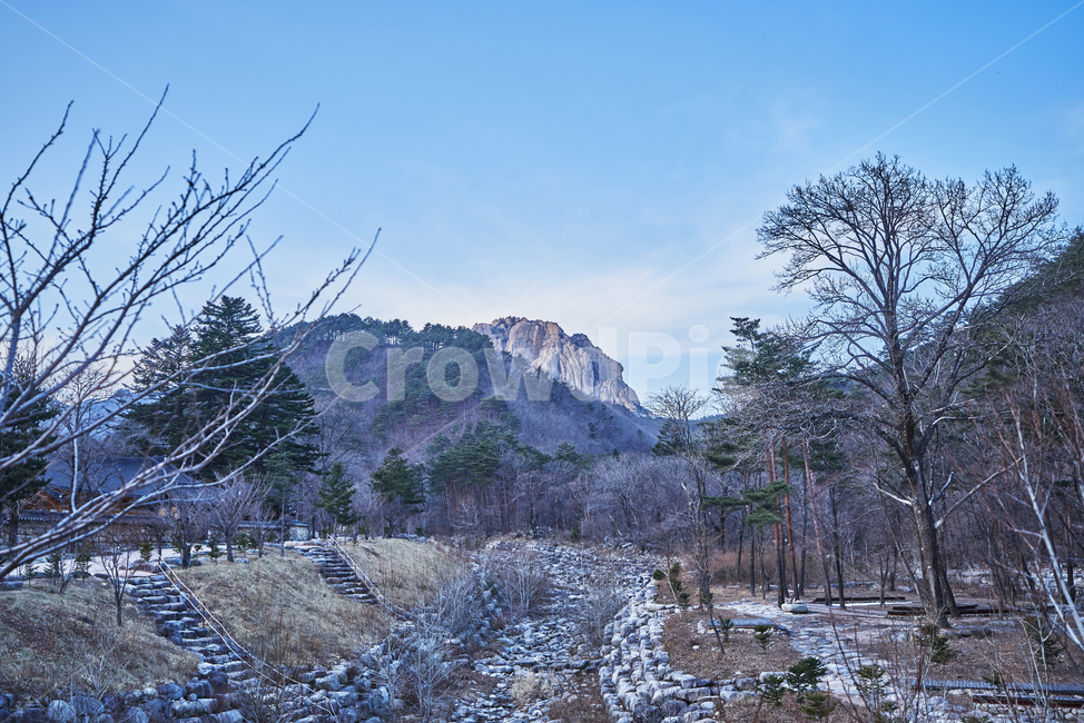나뭇가지,하늘,설악산,메마른,소나무,국립공원,풍경,자연,풍경,nature,landscape,한국자연풍경,한국자연경관,korea nature landscape,tree,나무,plant,식물,fir,전나무,abies,아비