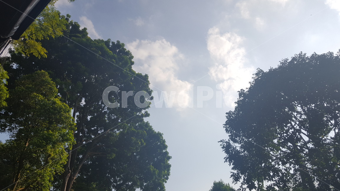 oversea,world,해외,외국,풍경,landscape,봄,spring,계절,season,sky,하늘