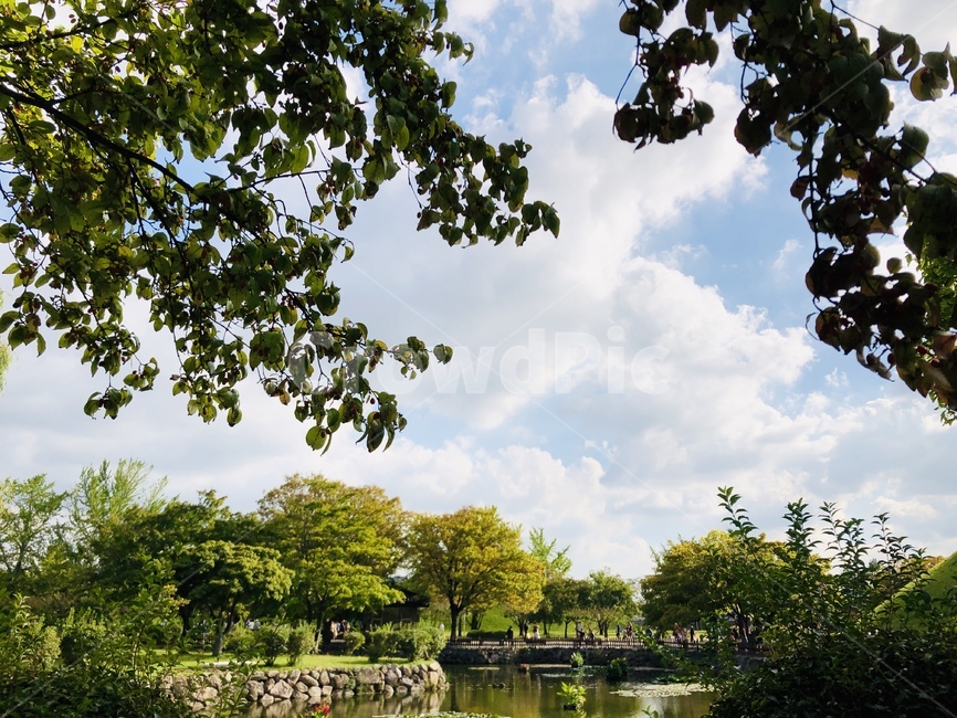 경주,가을,가을하늘,하늘,숲,강,한국,경치,자연,풍경,nature,landscape,한국자연풍경,한국자연경관,korea nature landscape,outdoors,옥외,water,물,tree,나무,plant,식물