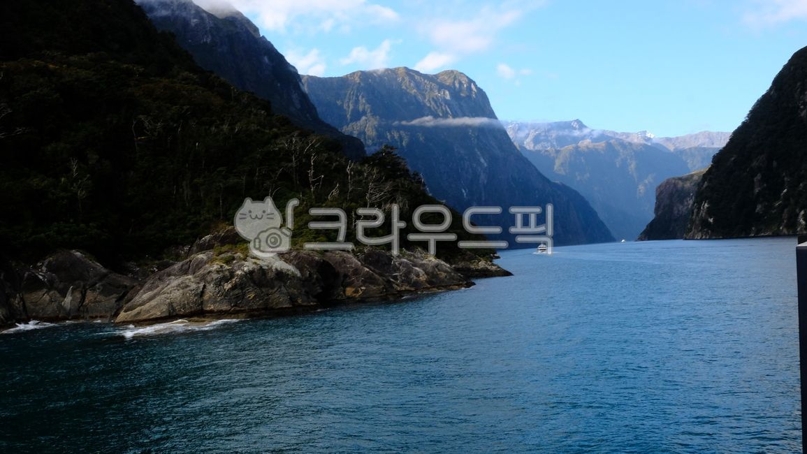 forest,beauty,cliff,fiordland,sound,scenery,scenic,rock,beautiful,milfordsoundnewzealand,fjord,mountain,view,fall,waterfall,national,zealand,glacier,milford,park,new,milfordsound,famous,green,natural,nature,cascade,tree,peak,water,fiord,New Zealand,outdoo