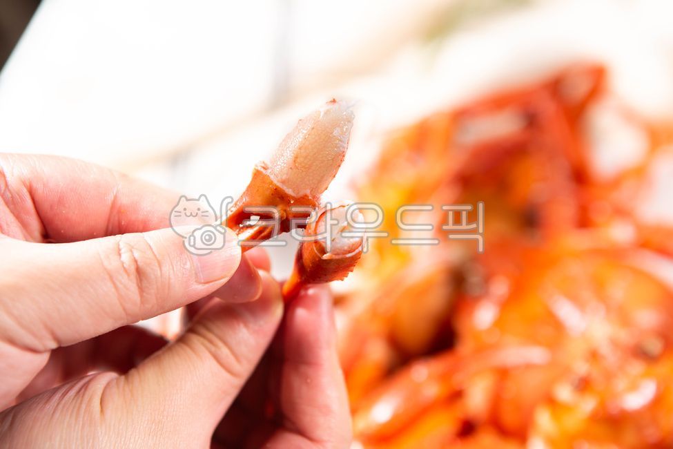 홍게,홍게살,홍게찜,홍게다리살,홍게요리