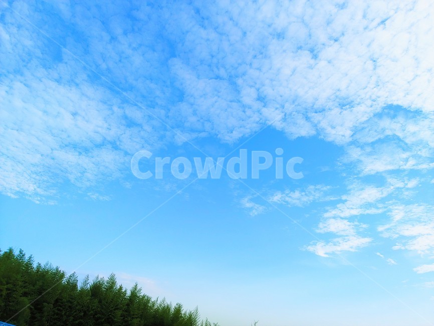 하늘,화창한,구름,자연,파란하늘,자연,풍경,nature,landscape,outdoors,옥외