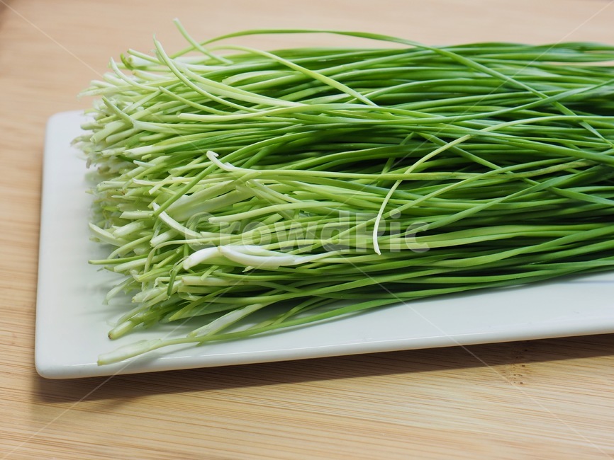 부추,유기농,유기농부추,채소,야채,음식,음식재료,녹색,chives,organic,organicleek,vegetable,food,foodingredients,green,음식,식재료,요리,food,cook,meal,dishes,food reserves,채소,야채,vegetables