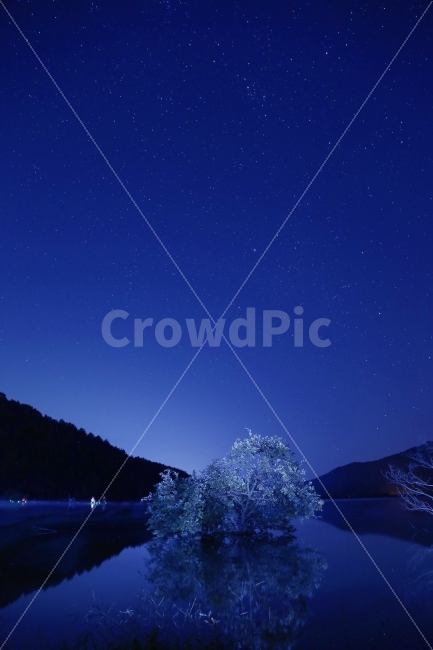 별,은하수,나무,호수,반영,문광저수지,밤,동화,자연,풍경,nature,landscape,한국자연풍경,한국자연경관,korea nature landscape,야경,밤,nightscape,night,식물,plants,나무,trees,wood,outdoors,옥외,space,공간,starry sky,별이 빛나는 하늘,astronomy,천문학,outer space,대기권 밖,universe,우주