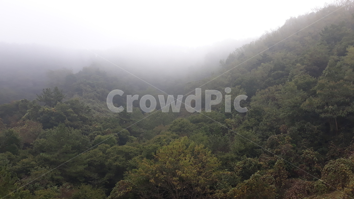 안개,자연,날씨,산,nature,outdoors,아침