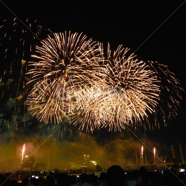 폭죽,불꽃놀이,밤,야경,축제,행사,파티