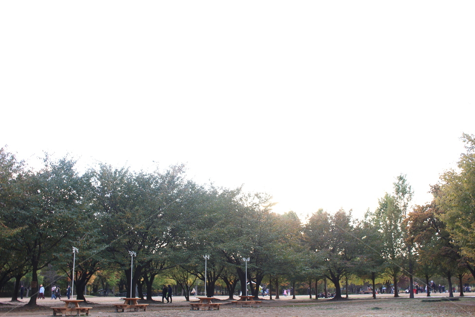 나무,숲,산속,벤치,서울숲,초록,초록색,풍경
