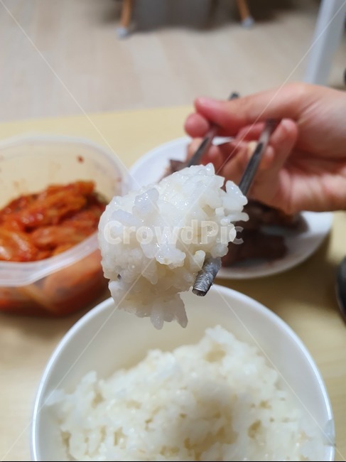 1인칭,밥,쌀밥,자취,저녁밥,식사,저녁식사