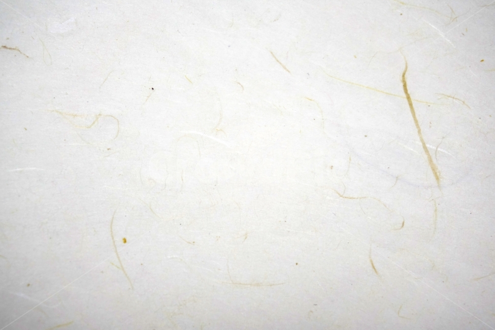 한지,배경,종이,한국,전통,질감,바탕,명절,설날,추석,한글날,새해,엽서,편지,기초,동양,선비,조선,고대,조상,닥나무,색지,색한지,고유의,조선종이,조선지,창호지,공간,빈공간,우리나라,대한민국,한국전통,한국문화,korean traditional,korean culture,텍스처,질감,패턴,texture,pattern