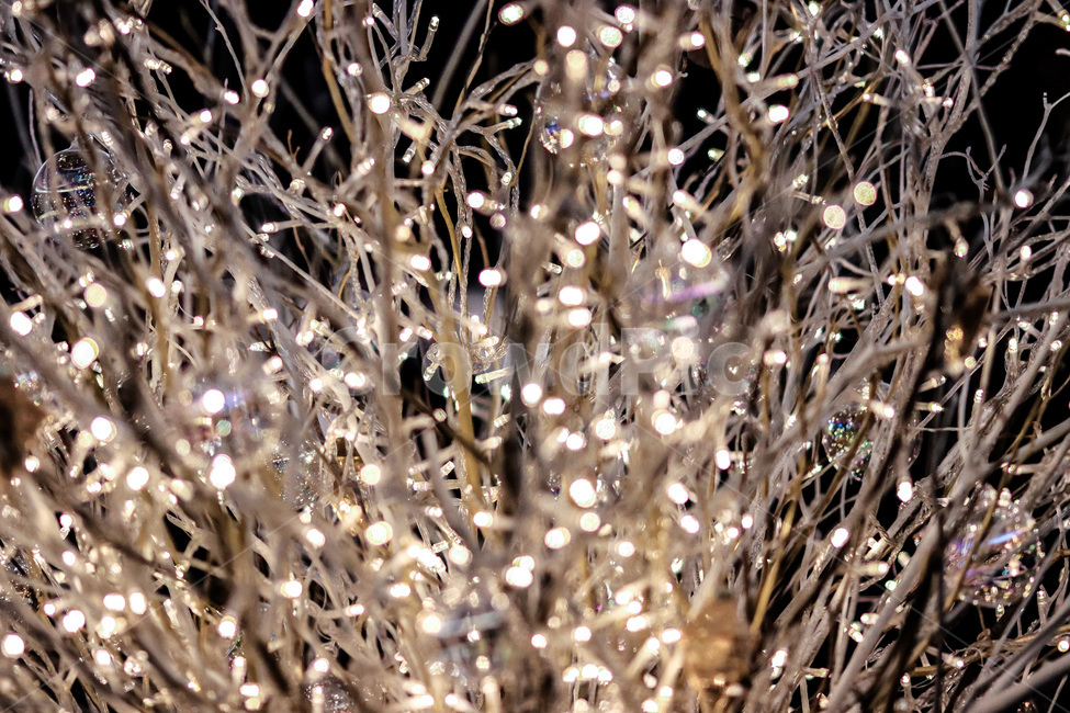 겨울,겨울색,크리스마스,겨울이미지,빛,보케,계절,아름다운,winter,bokeh,season,beautiful,빛망울,추위,크리스마스이미지,christmas,야경,밤,풍경,nightscape,night,landscape,crystal,결정