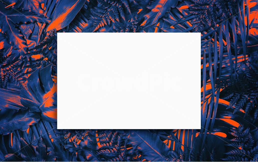 prepare,natural,neon,Botanical Frame,Botanical,leaf,summer,tropical,background image,palm tree,Neon,reversal,background,plant,tropical plants,jungle,colorful,frame