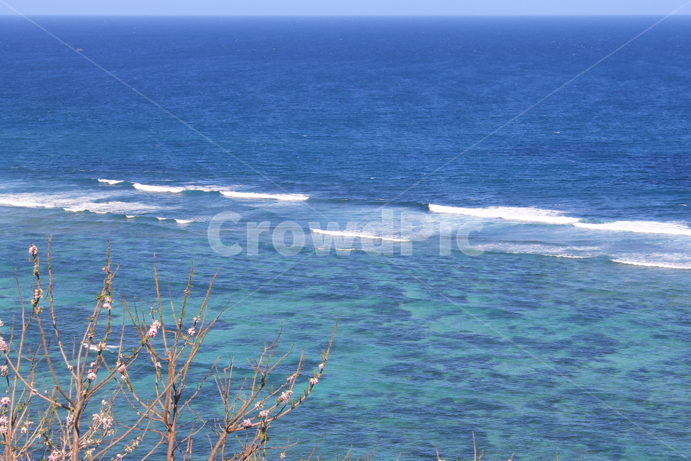 인도네시아,발리,냥냥해변,발리해변,해변,바다,자연,indobesia,bali,balibeach,beach,nyangnyang,sea,nature,자연,풍경,nature,landscape