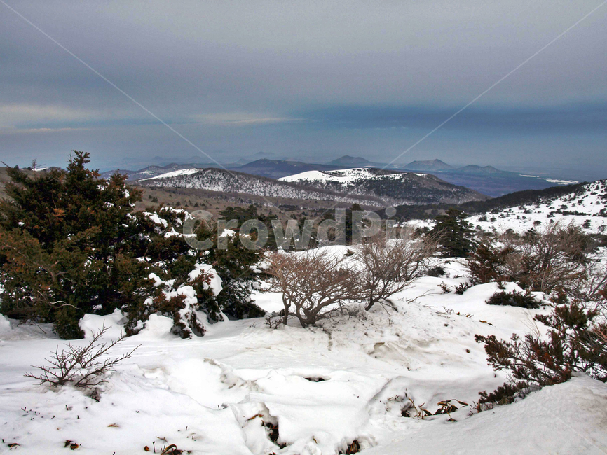 어리목,제주도,한라산,설경,겨울산,눈,등산,설화,오름,겨울,계절,winter,season,자연,풍경,nature,landscape,tree,나무,plant,식물,fir,전나무,outdoors,옥외