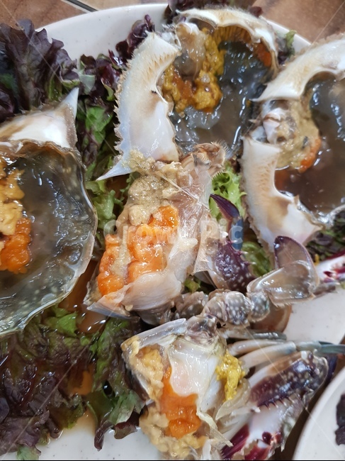 게장,간장게장,양념게장,해물,음식,음식사진,먹스타그램,오늘의메뉴,맛집,맛집추천,음식기록,일상기록,푸드스타그램,음식스타그램,미식,한끼식사,외식메뉴,집밥,요리사진,플레이팅,푸짐한한상,맛있는한끼,식사시간,맛집투어,먹방,식단관리,야식,점심메뉴,저녁메뉴,간식타임,푸드사진,일상공유,음식취향,한식양식,음식,식재료,요리,food,cook,meal,dishes,food reserves,수산물,해산물,fishery products,seafood,한식,한국음식,한국요리,korean food,korean dishes,korean meal,korean cook