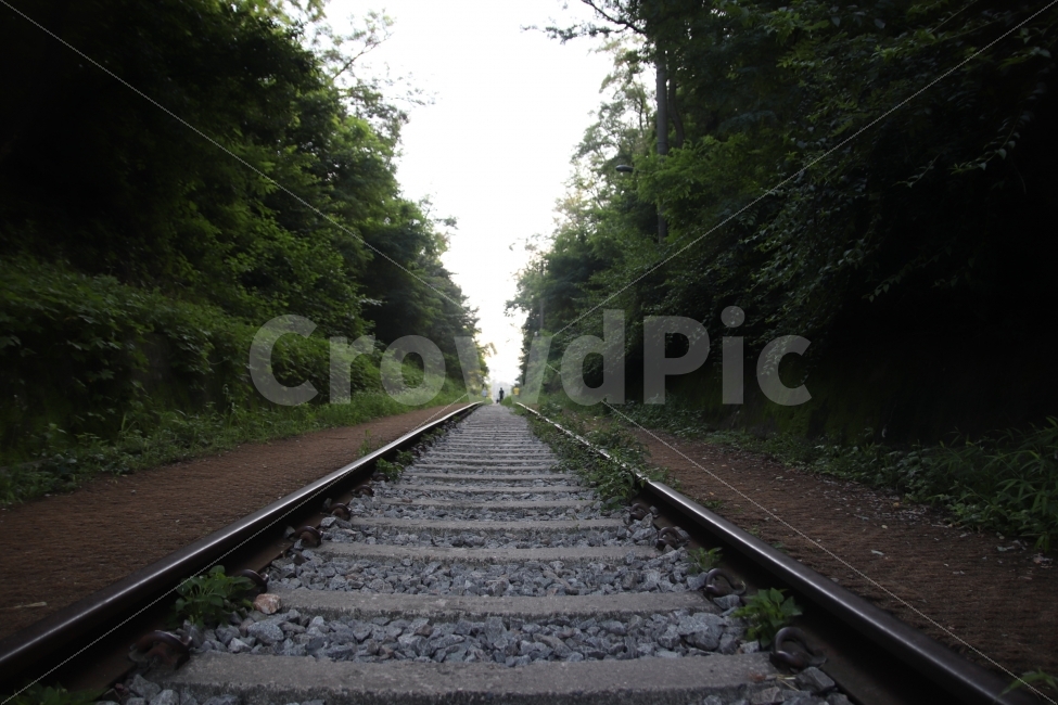 철길,항동철길,옛철길,길,원근법,교통,교통수단,traffic,transportation,railway,철도,rail,레일,train track,기찻길,dirt road,흙길,road,도로,gravel,자갈