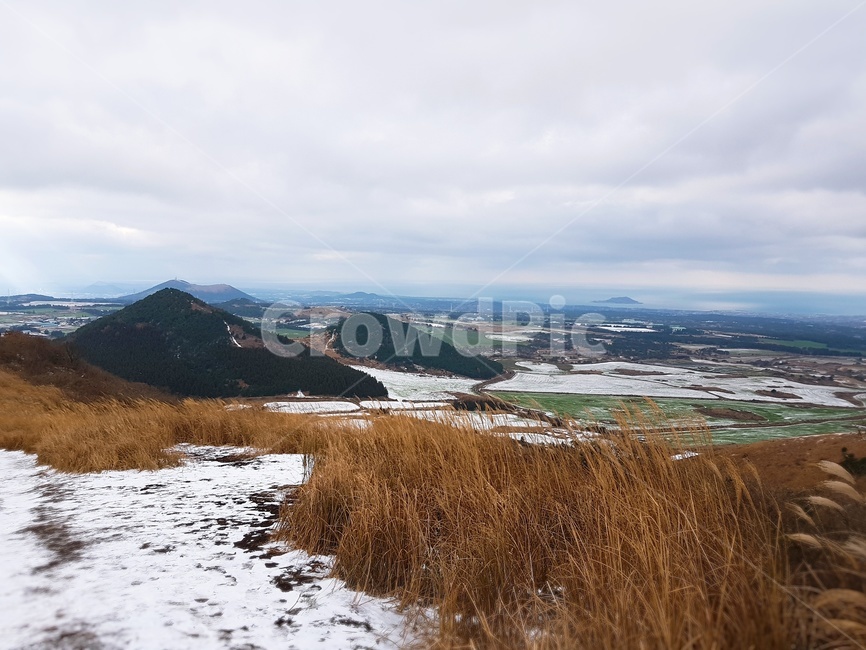 오름,겨울,갈대,억새,제주,자연,자연경관,jeju,jejuisland,구름,하늘,눈,snow,제주도,winter,nature,겨울,계절,winter,season,제주도,jeju,jeju island,land,땅,outdoors,옥외,plateau,고원