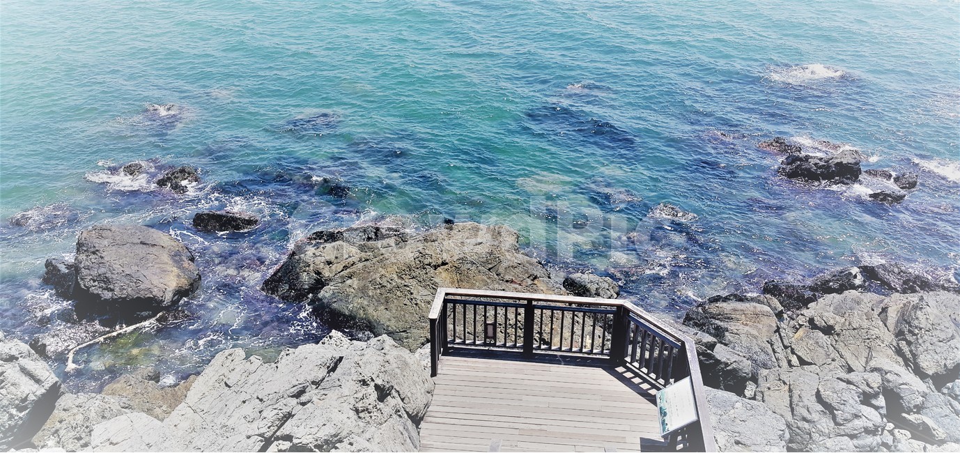 부산,바다,여름,풍경,자연,산책,해운대,busan,sea,summer,scenery,nature,walking,자연,풍경,nature,landscape,한국자연풍경,한국자연경관,korea nature landscape,railing,난간