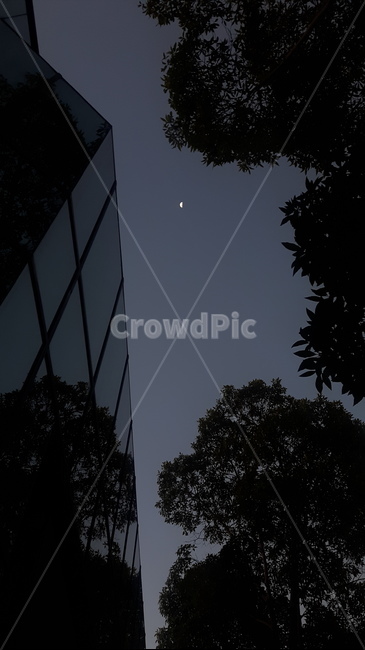 시드니,밤하늘,달,풍경,어둠,야경,밤,풍경,nightscape,night,landscape,nature,자연,outdoors,옥외,astronomy,천문학,universe,우주,outer space,대기권 밖