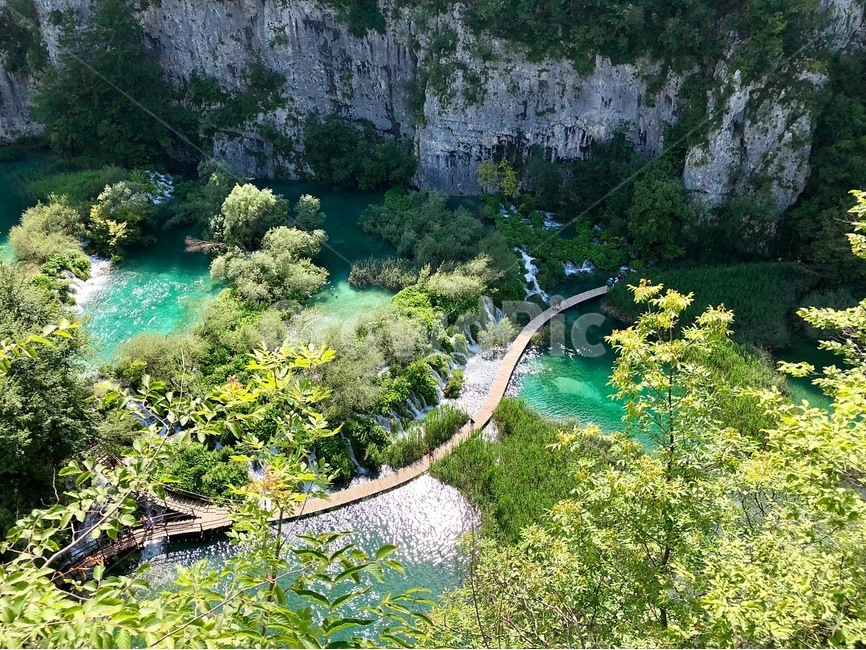 landscape,croatia,plitvice,크로아티아,플리트비체,플리트비체국립공원,scenery,view,scene,자연,풍경,nature,landscape,해외,외국,세계,foreign,oversea,world,세계자연풍경,해외자연풍경,외국자연풍경,world nature landscape,plant,식물,vegetation,초목,outdoors,옥외,경치,bush,부시,land,땅