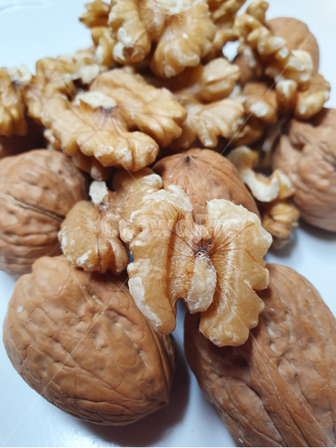 호두,너트,음식,간식,딱딱한,콩류,견과류,beans,pulse,nuts,dry fruits