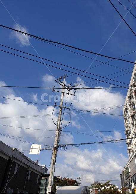 하늘,도시,나무,전봇데,자연,구름,도시,풍경,city,landscape,utility pole,전신주,cable,케이블
