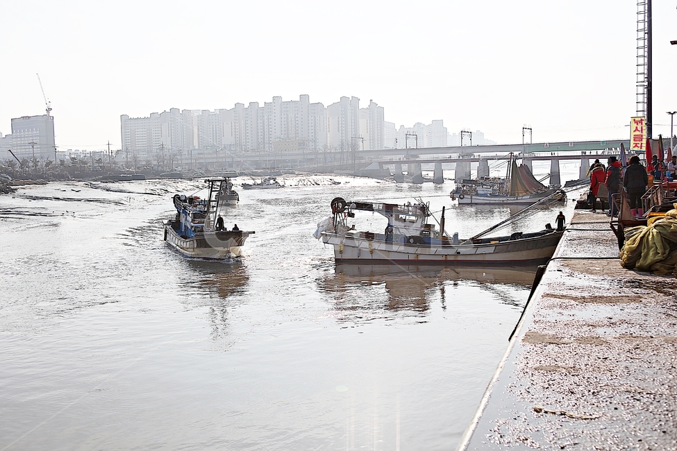 배,선박,어선,고기잡이배,소래포구,바다,자연,풍경,어업,어부,산업,industry,industrial,어업,fishery,fishing industry