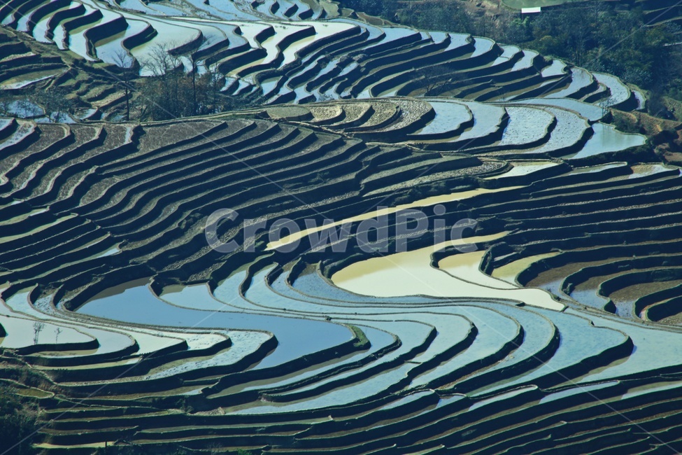 field,들,outdoors,옥외,nature,자연,landscape,경치,scenery,풍경,weather,날씨,중국,운남,원양제전,원양다랭이논,다락논,농경지,농업,농사,경작,다랭이논,자연,풍경,nature,landscape,농업,농사,agriculture,farming,farming industry