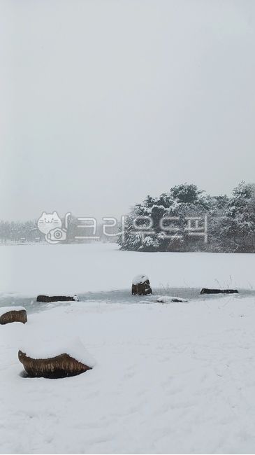 snow scene,snowscape,nature,blizzard,winter,ice,outdoor,outdoors,snow,Ilsan Lake Park,winter landscape,lake