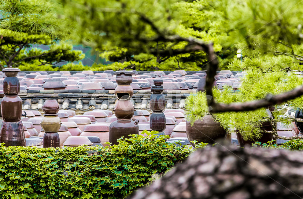 항아리,옹기,장독대,발효,전통문화,한국의미,한국전통,한국문화,korean traditional,korean culture