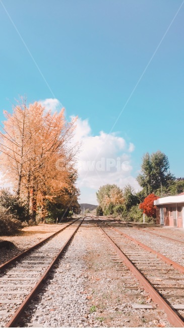 가을,구름,철길,낙옆,단품,가을,계절,fall,autumn,season,교통,교통수단,traffic,transportation,rail,레일,train track,기찻길,railway,철도
