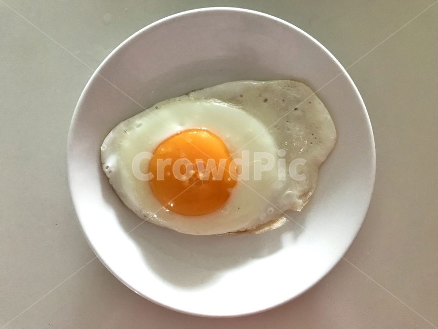 계란,달걀,계란후라이,음식,egg,food