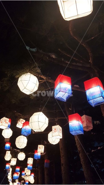 청사초롱,등,연등,길거리,저녁,등불,빛,나무,밤,밤거리,불빛,장식,야경,밤,풍경,nightscape,night,landscape,한국전통,한국문화,korean traditional,korean culture,lamp,램프