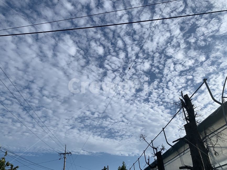 cable,케이블,하늘,구름,sky,cloud,자연,풍경,nature,landscape