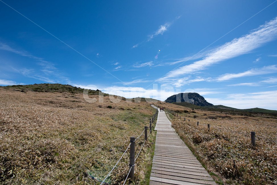 한라산,제주도,영실코스,한라산남벽,나무데크길,제주도,jeju,jeju island,boardwalk,산책로,bridge,다리,building,건물
