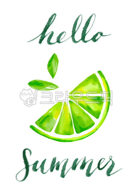 Callie,fruit,summer,Lime,drawing,season,handwork,nature,lime,leaf,food,citrus,tropical,watercolor,painting,background,tropics,plant,illustration,hello,Watercolor,calligraphy