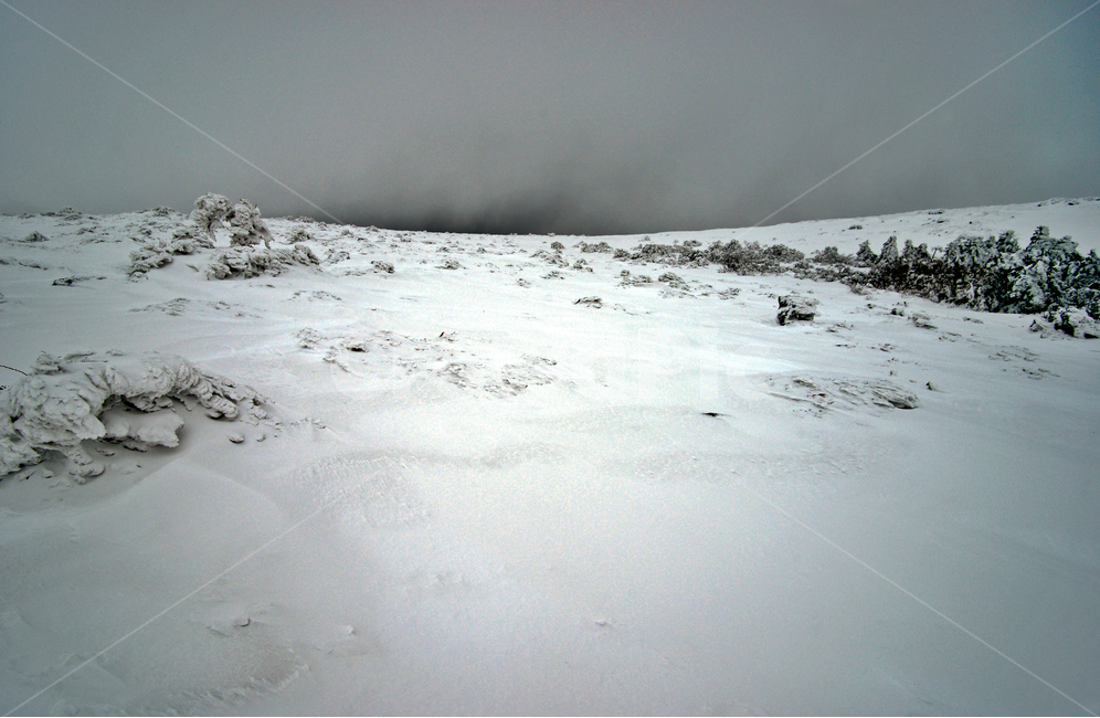 겨울산,한라산,제주도,어리목코스,설경,설산,한라산설경,겨울,겨울,계절,winter,season,자연,풍경,nature,landscape,한국자연풍경,한국자연경관,korea nature landscape