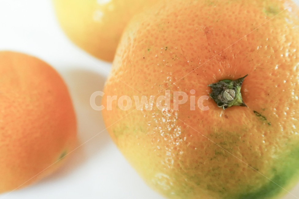 음식,food,과일,fruit,귤,감귤,색감,색상,color,감성,음식,식재료,요리,food,cook,meal,dishes,food reserves,과일,열매,fruit