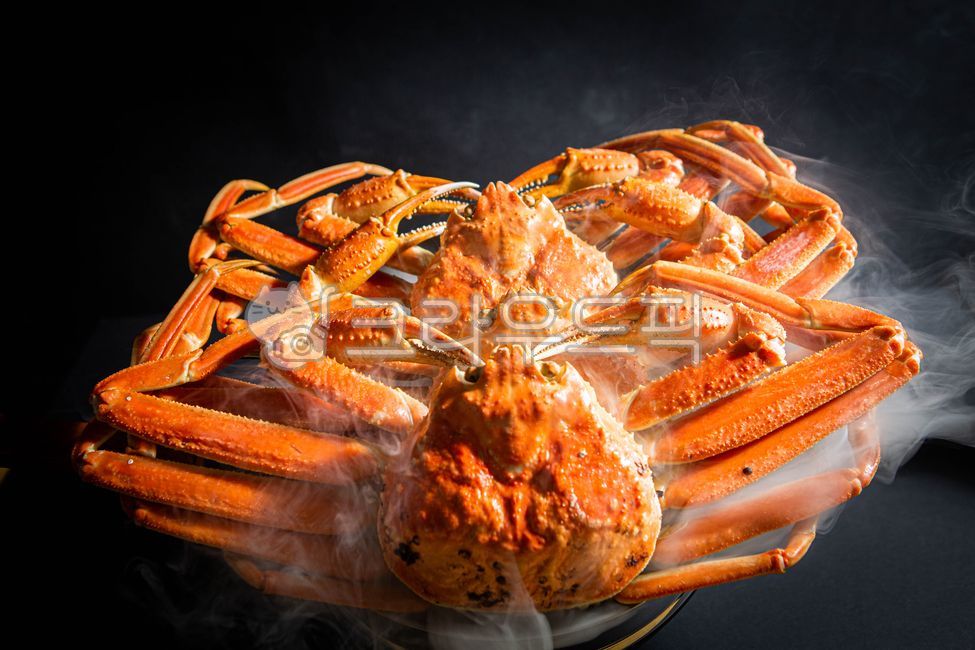 king crab,Steamed snow crab,East coast snow crab,snow crab,Steamed red crab,Russian snow crab,Yeongdeok snow crab,red crab