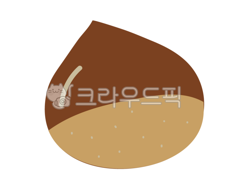 Autumn fruits,autumn fruit,chestnuts,chestnut drawings,chestnut illustrations,chestnut hand drawings,chestnuts