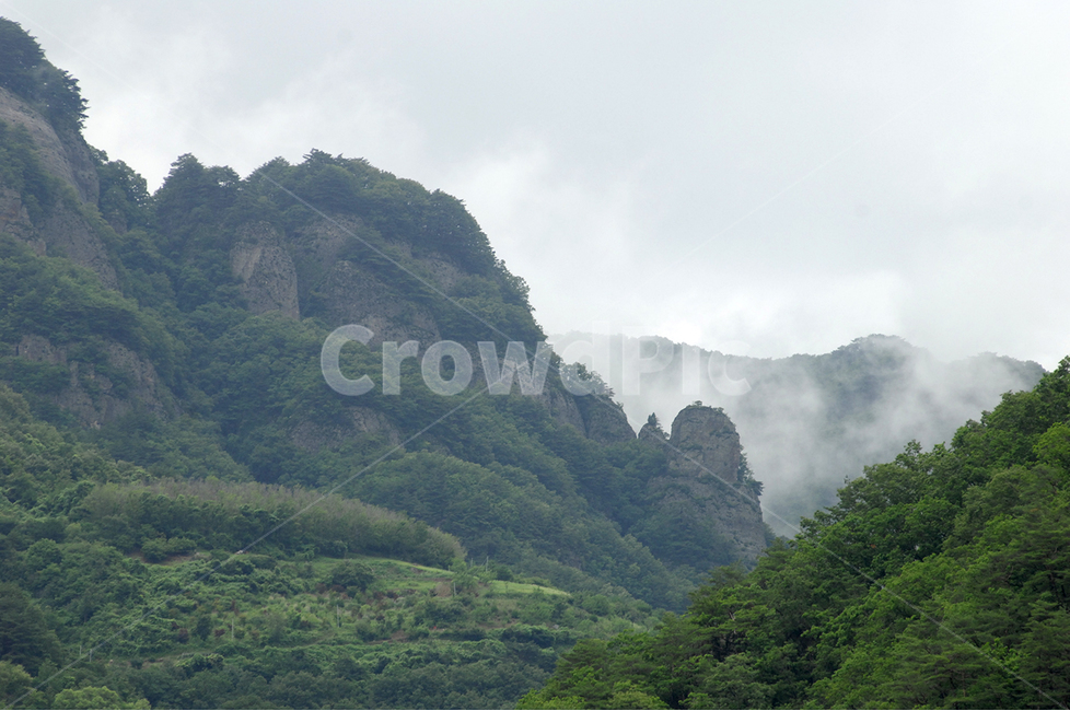 산,구름,소나무,청량산,계곡,자연,풍경,nature,landscape,slope,경사,outdoors,옥외